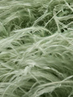 Alice and Olivia CHANDA FEATHERED VEST